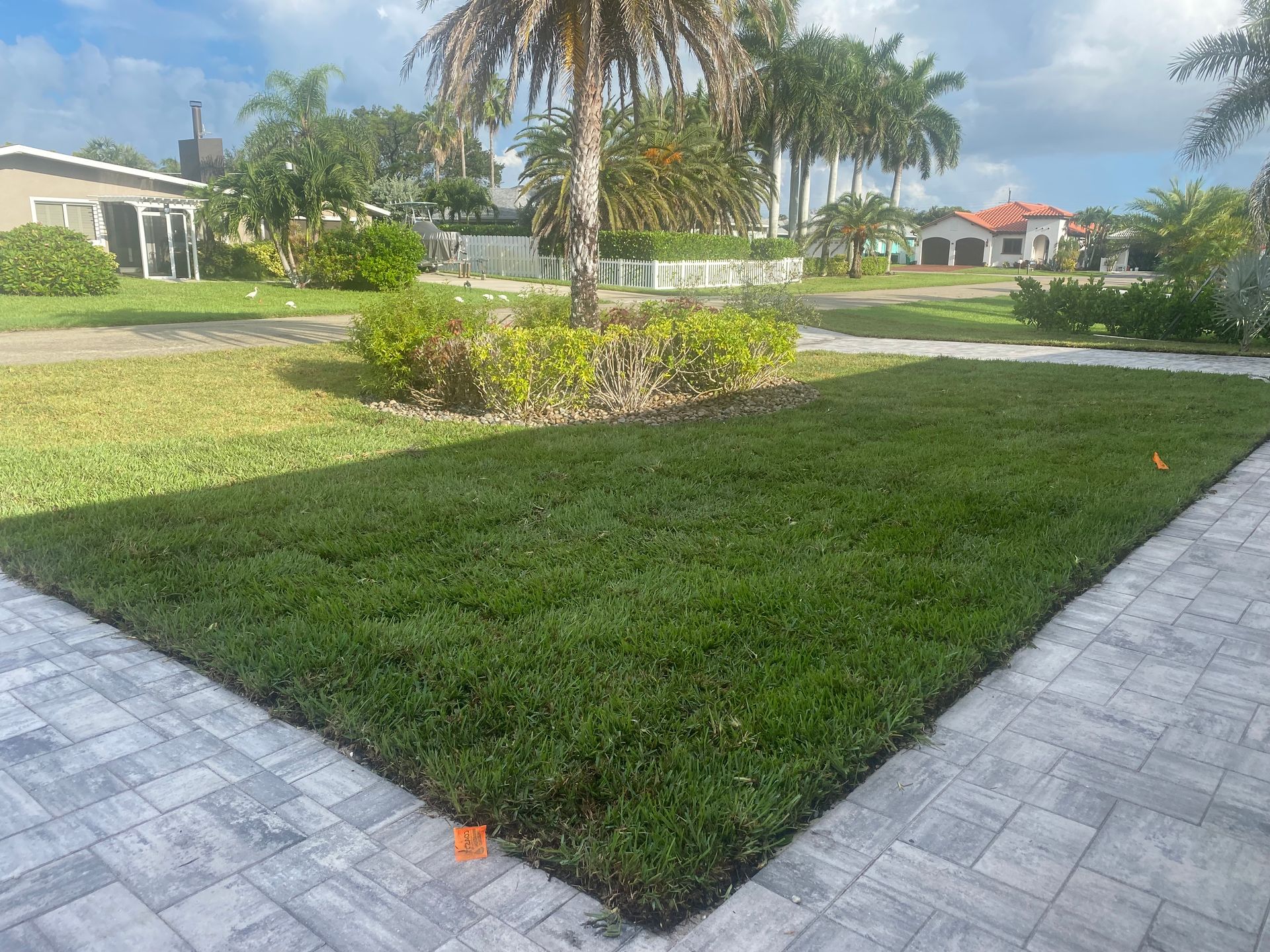 Green lawn bordered by stone pavers with houses and palm trees in the background.
