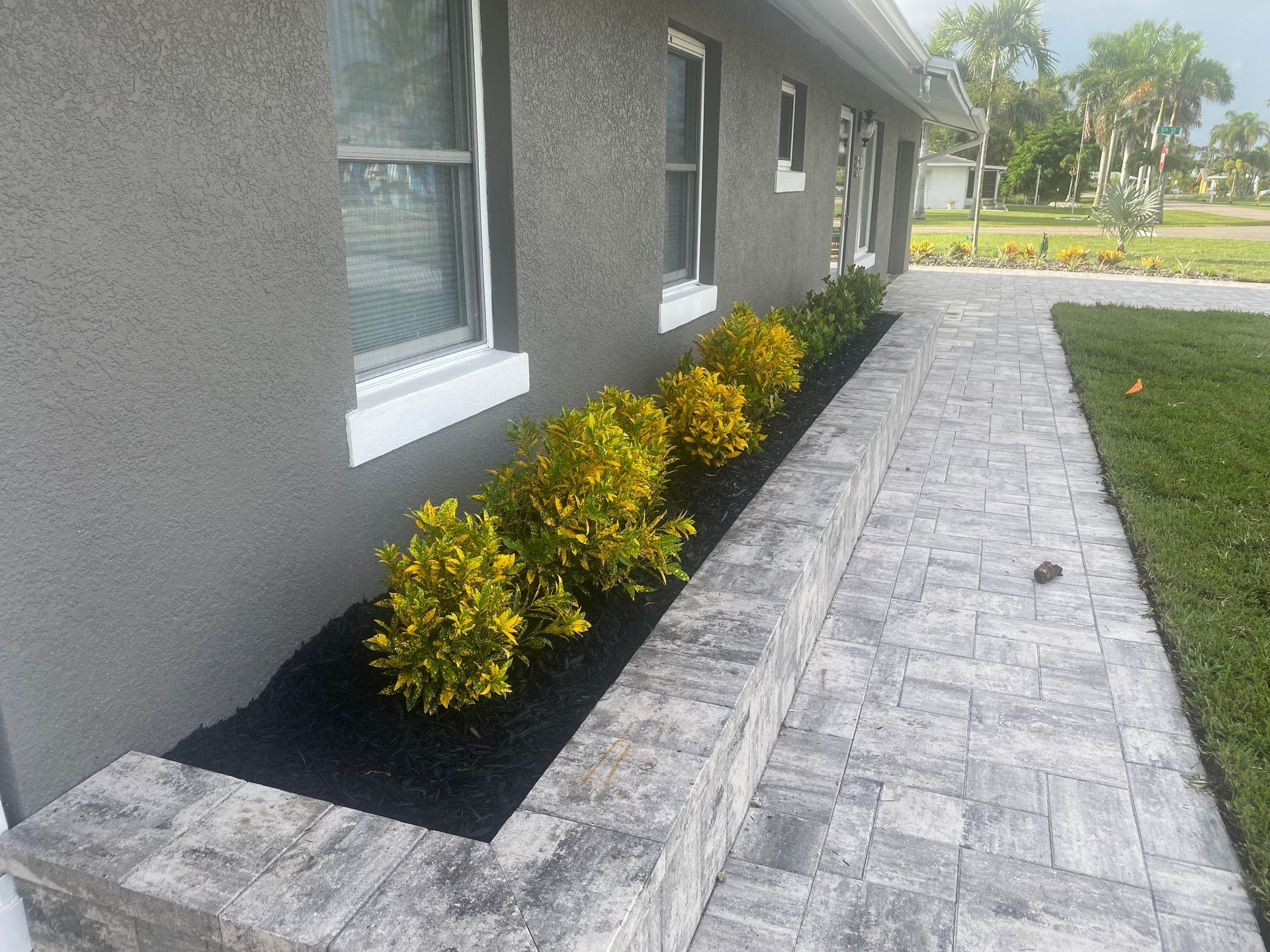 Gray house with yellow shrubs in a black-mulched planter box next to a brick path.