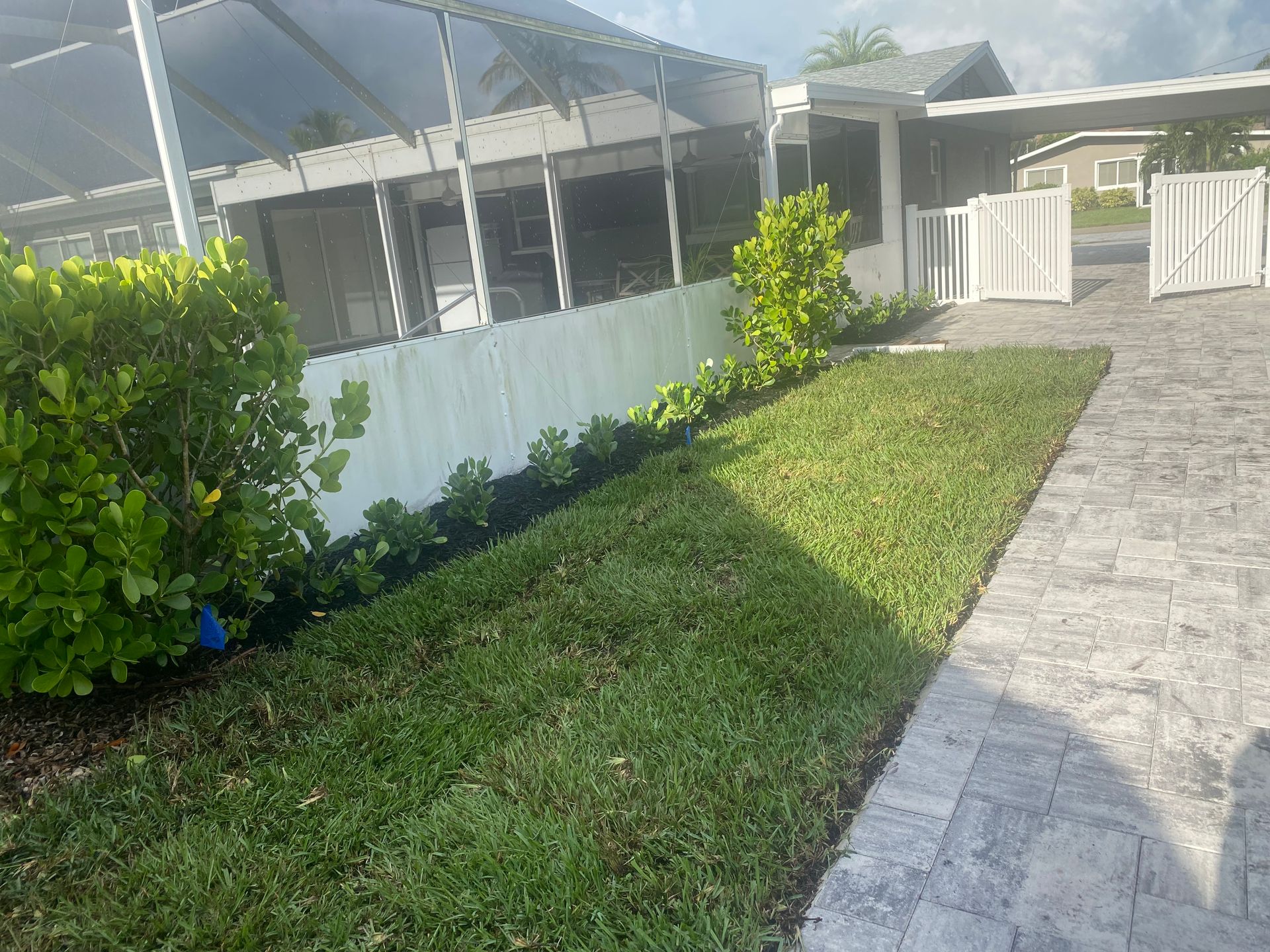 Green lawn and landscaping next to a white fence and driveway.