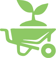 Green wheelbarrow with soil and sprouting plant.