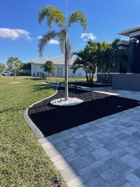 Landscaped yard with palm tree, black mulch, white stone, and paved driveway.
