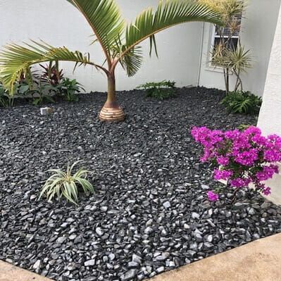 Palm tree and pink flowering bush in a black rock garden bed next to a building.
