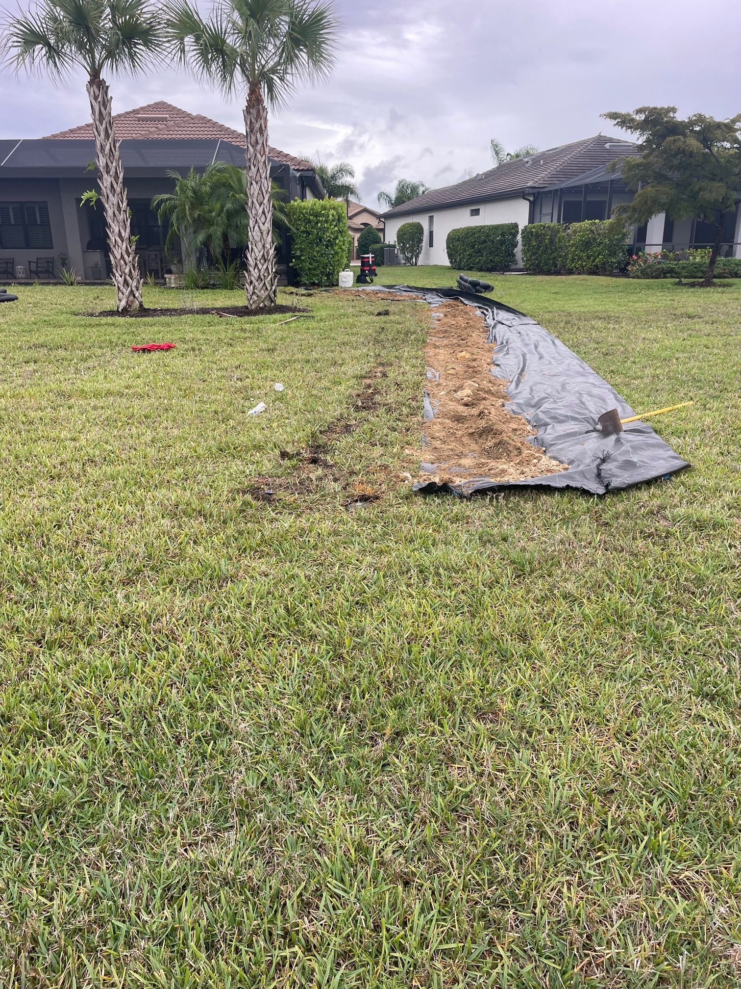 A patch of exposed soil and landscape fabric in a grassy yard, with houses and palm trees in the background.