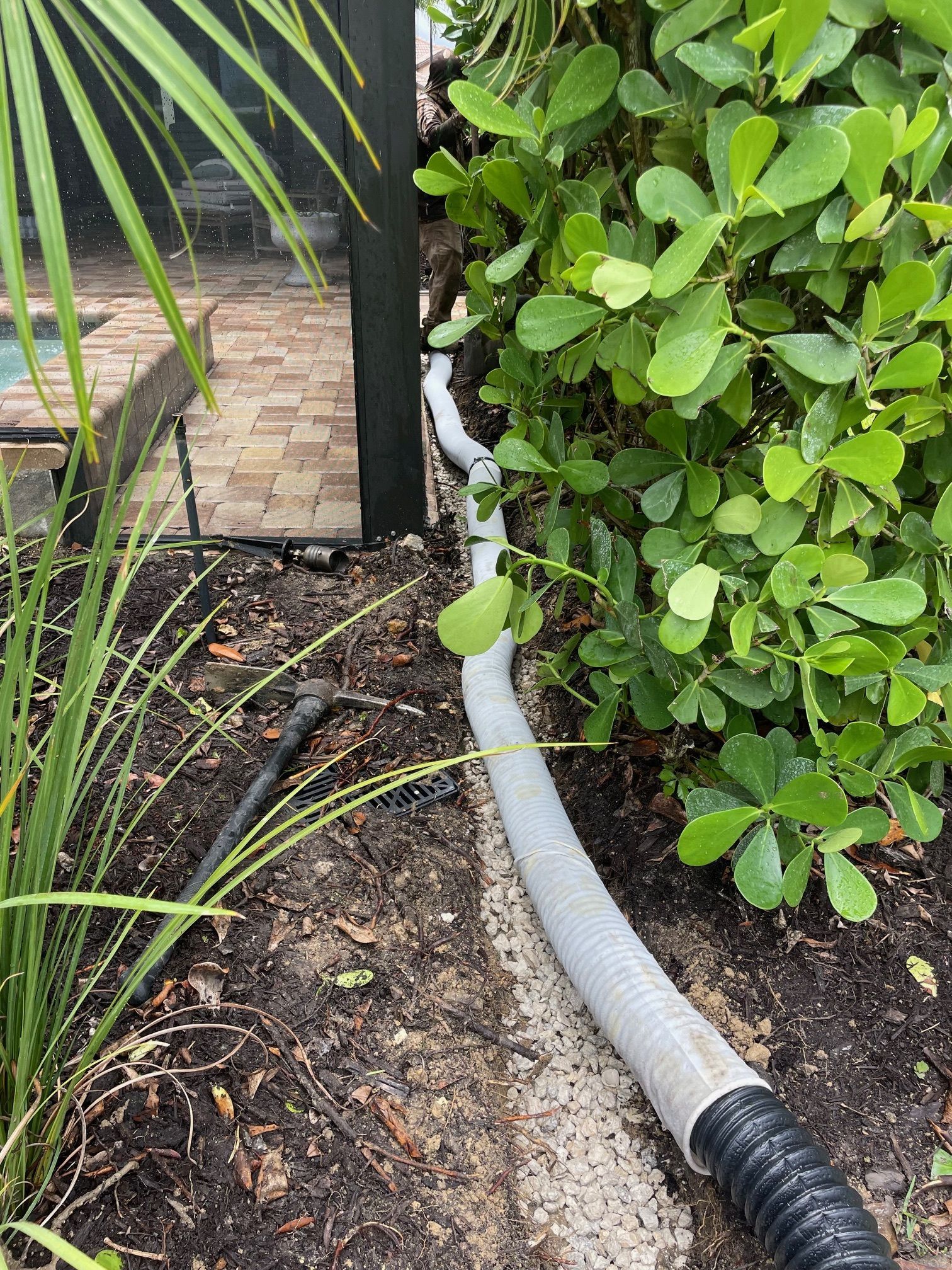 A flexible, gray drainage pipe runs between landscaping and a brick patio, next to a bush and palm-like plants.