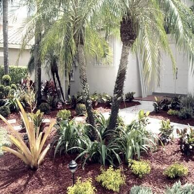 Tropical garden with palm trees, colorful plants, and a pathway leading to a house entrance.