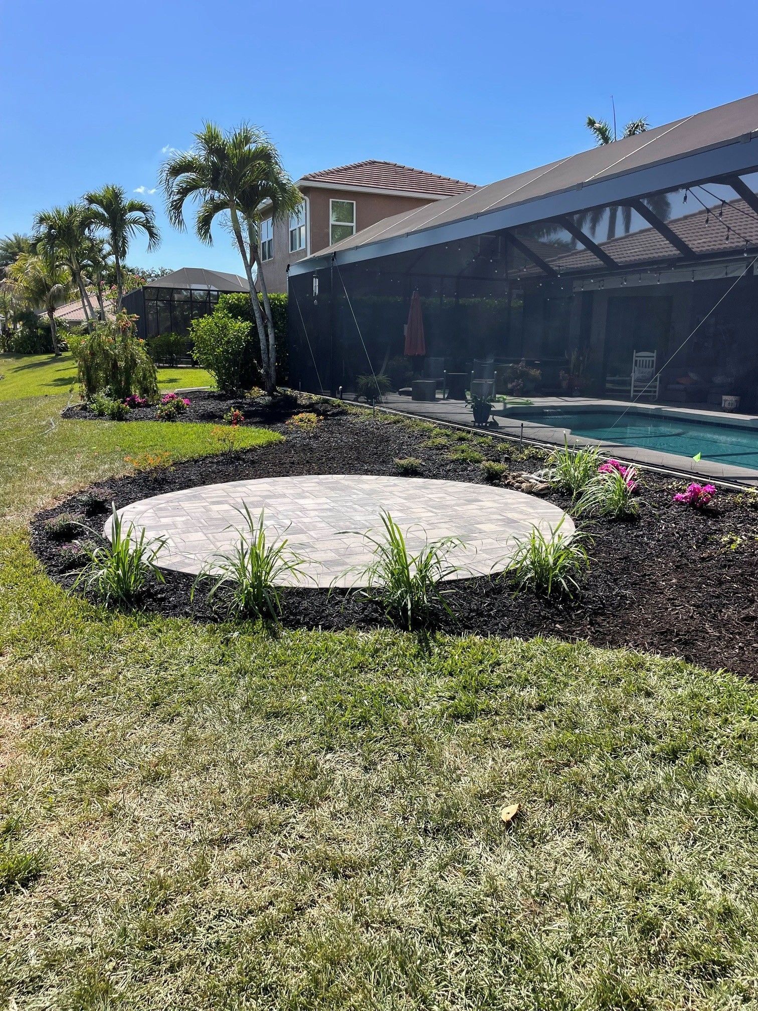 Backyard pool with screened enclosure, palm trees, and a circular concrete patio in the grass