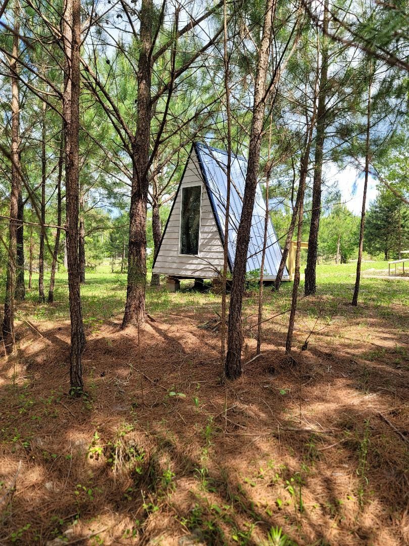 Small A-frame cabin in a pine forest with sunlight filtering through the trees