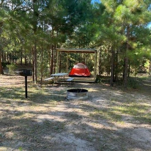Campsite with red tent under a wooden shelter in a pine forest, with a fire ring in front