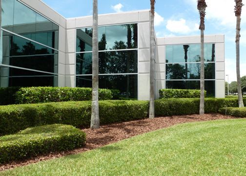 A large building with lots of windows and palm trees in front of it