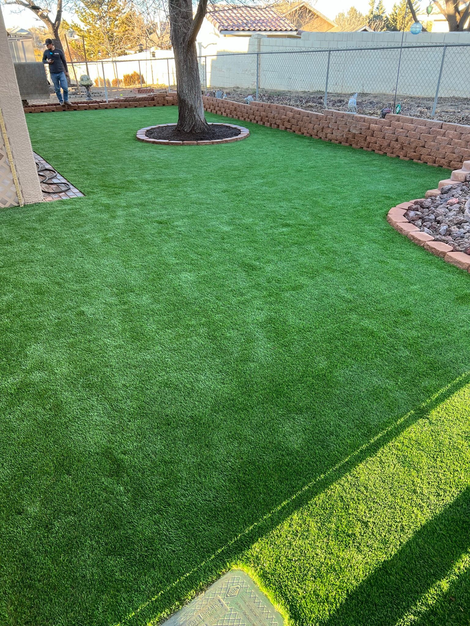 A man is standing in the middle of a lush green lawn.
