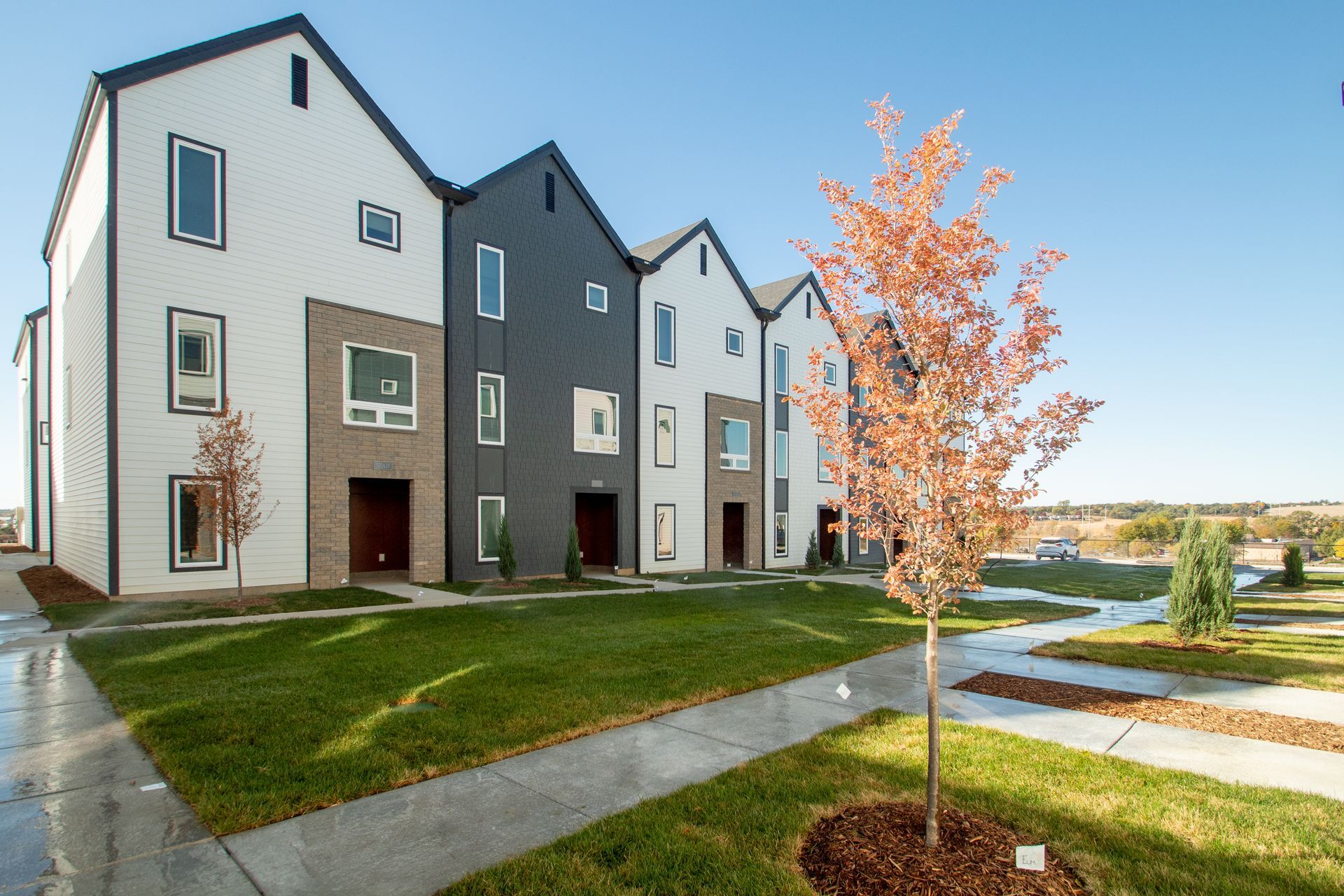 A row of houses with a tree in front of them