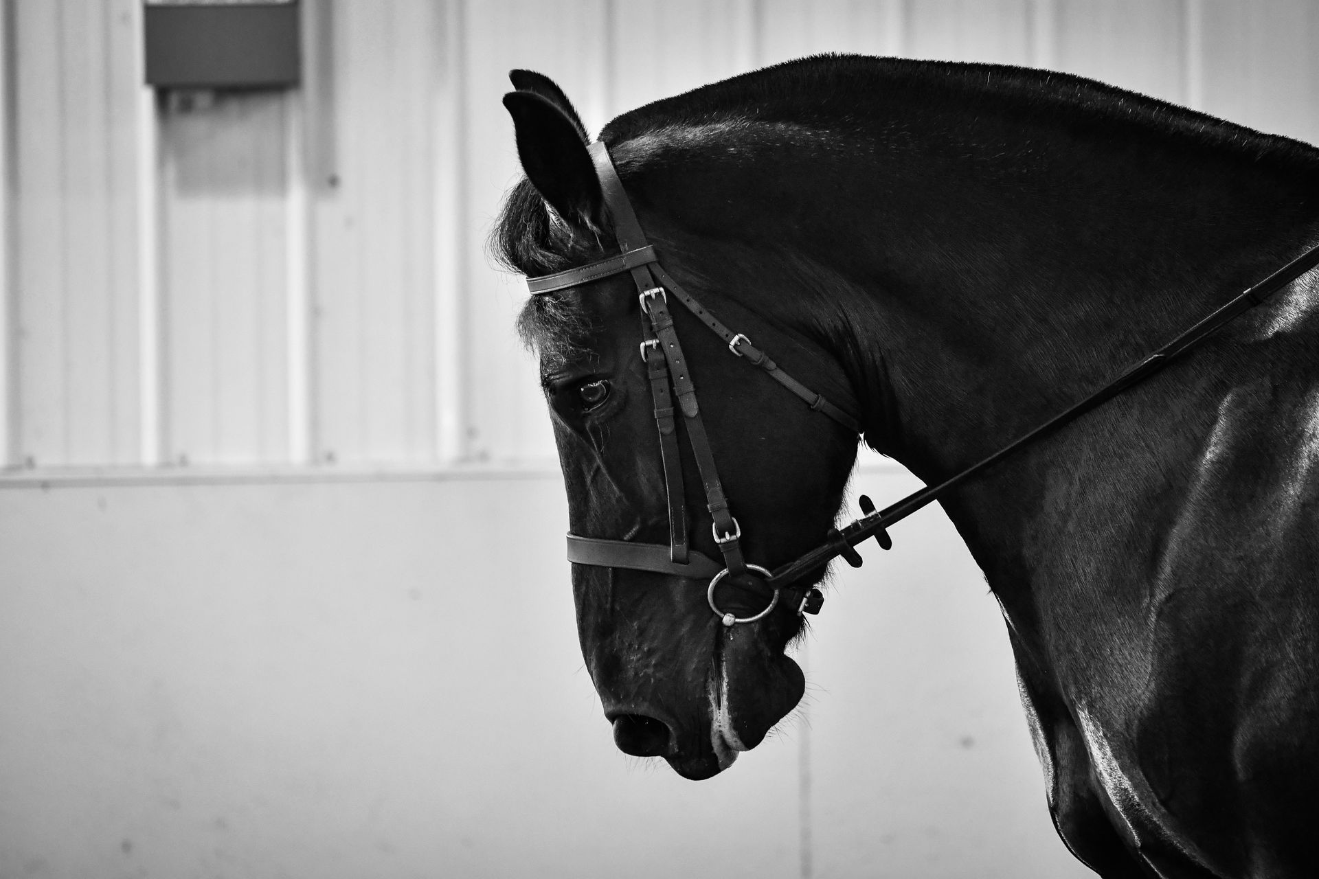 PEMF, competition
