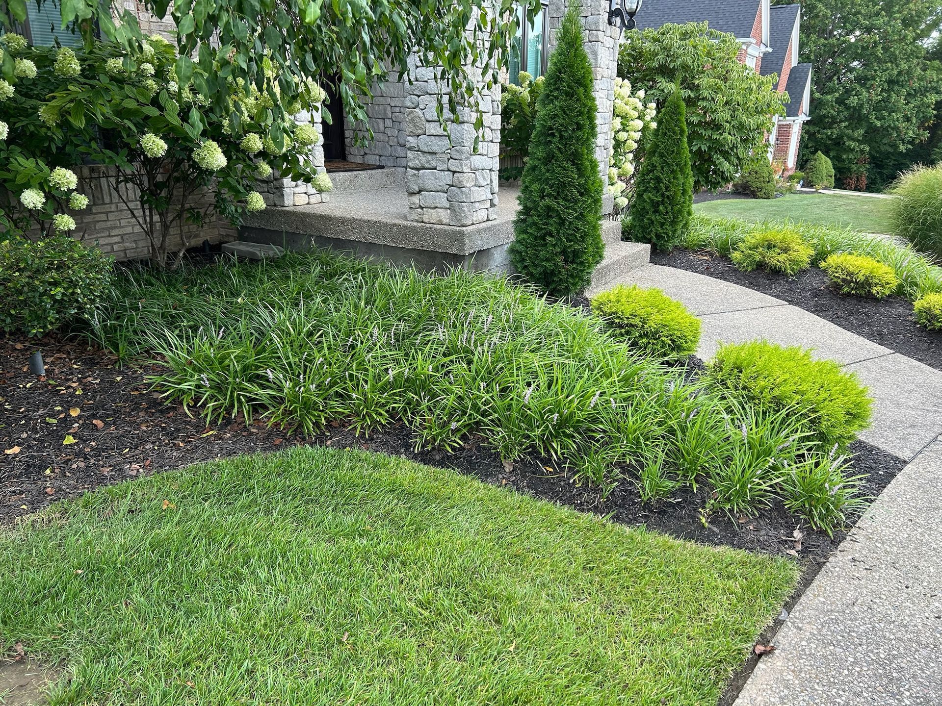A man is using a vacuum hose to remove mulch from a tree.