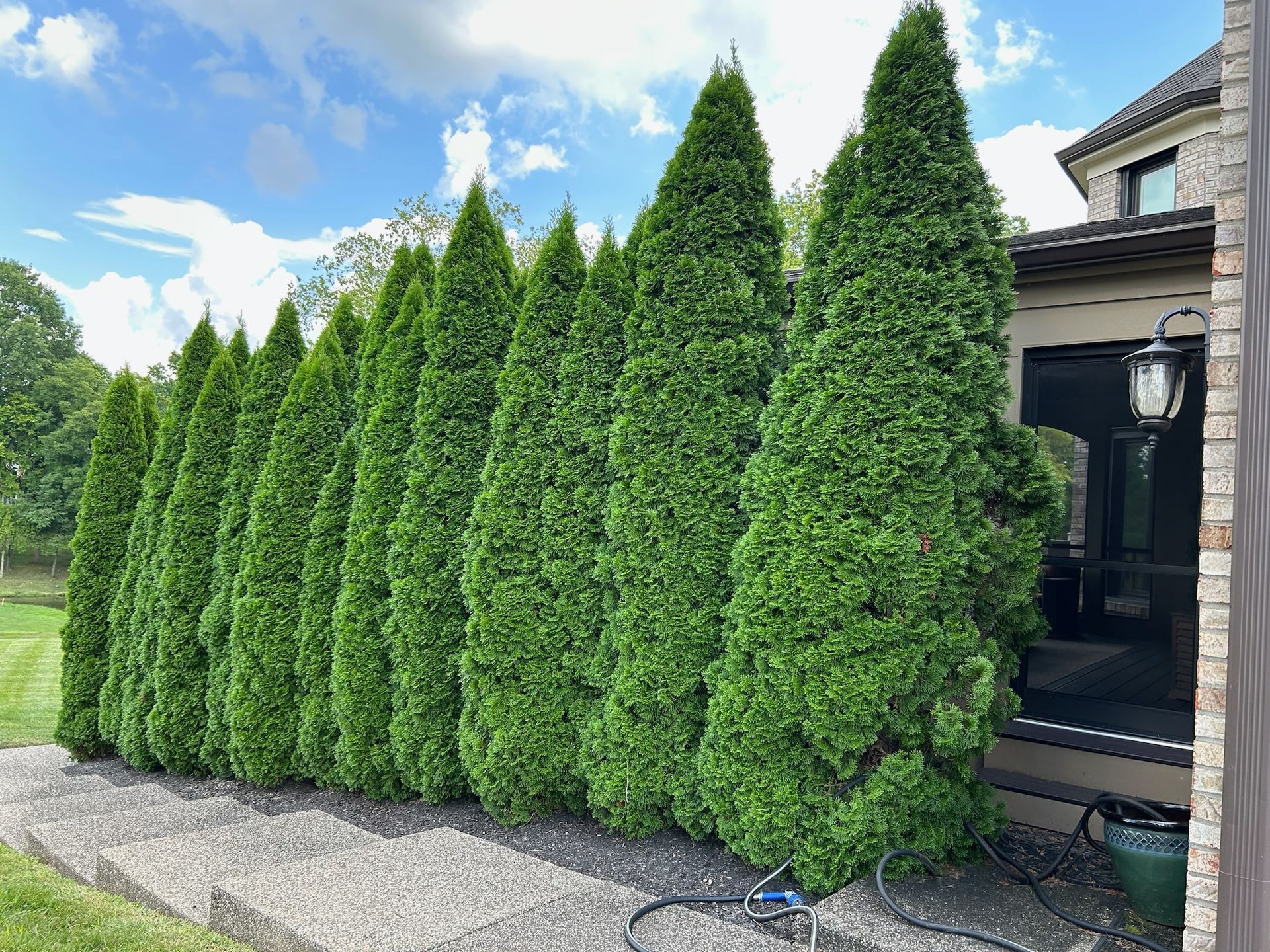 A brick walkway leading to a house surrounded by bushes and shrubs.