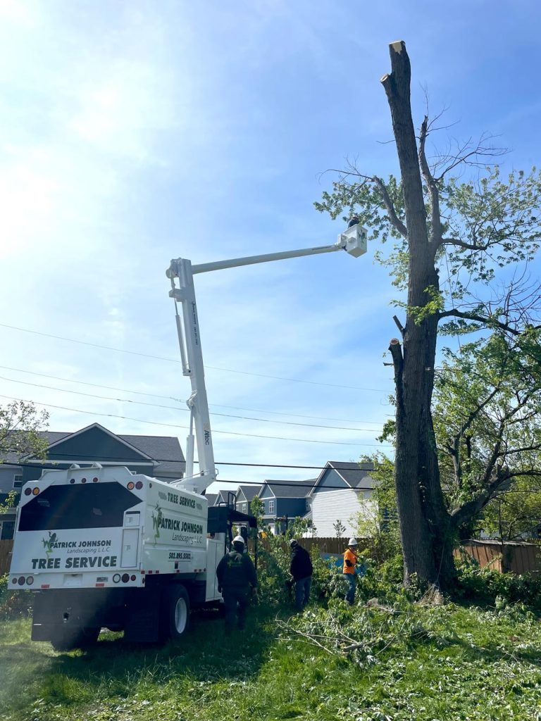 A tree stump is being removed from a tree with a crane.