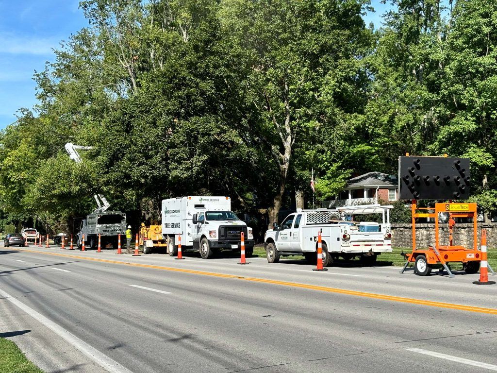 A row of trucks are parked on the side of a road.