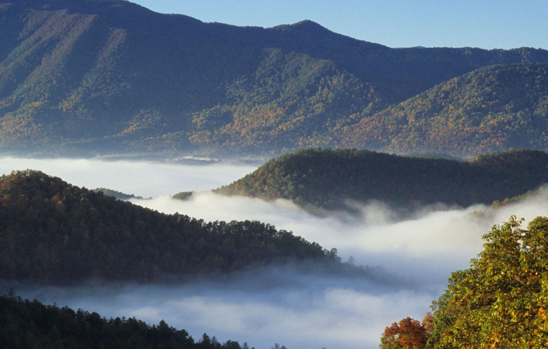 Misty mountain valley with forested hills and low clouds at dawn in Alcoa, TN. 