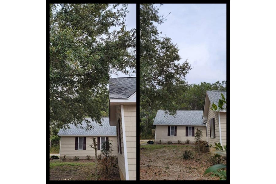 stump grinding near me