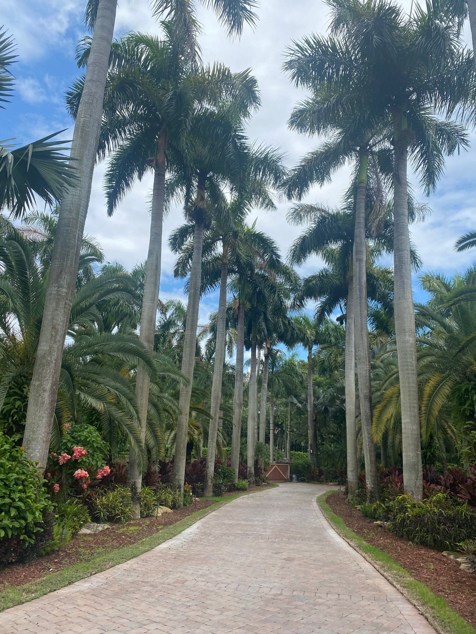 A long, brick driveway lined with tall palm trees under a partly cloudy sky.