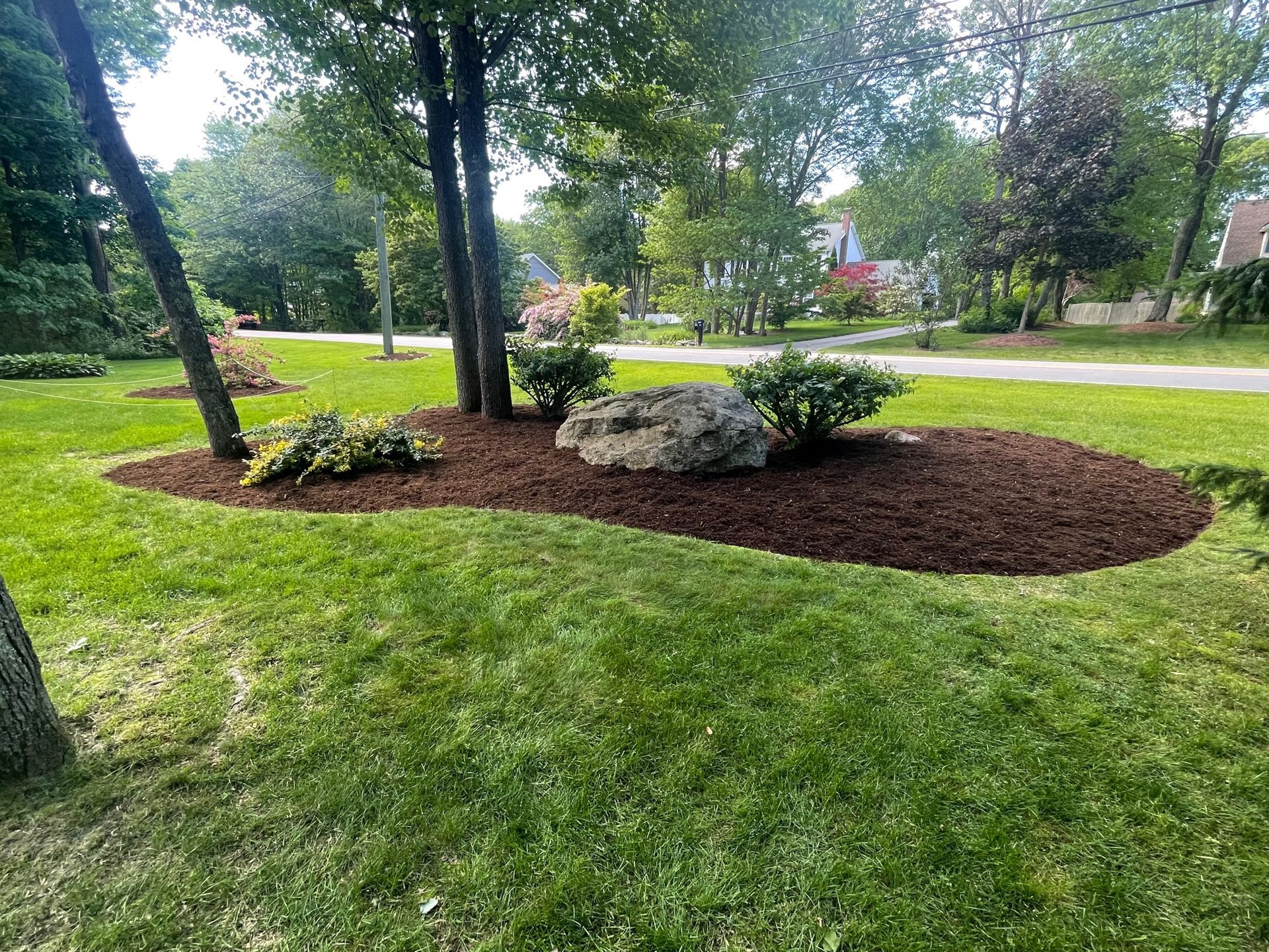 A mulched garden bed with trees, shrubs, and a large rock, surrounded by green grass.
