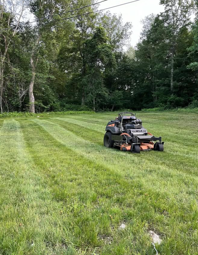 Orange and black riding lawn mower cutting green grass in a field, trees in the background.
