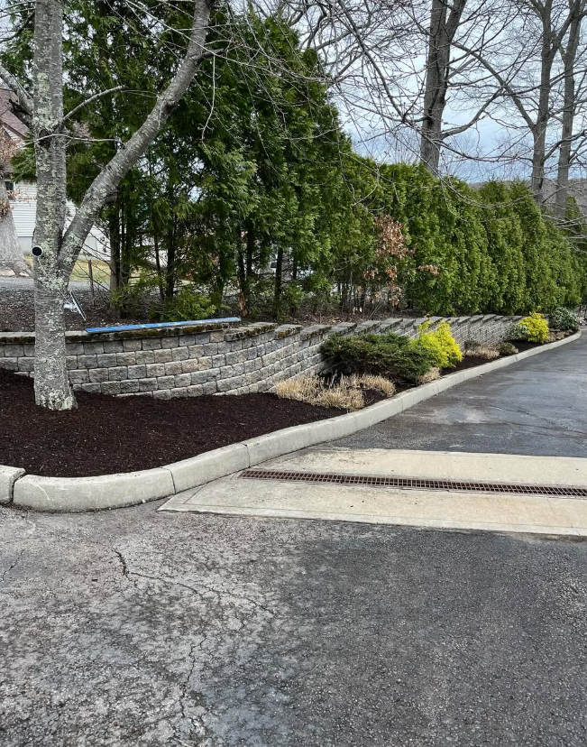 A landscaped garden bed with a stone wall and green hedge next to an asphalt driveway.