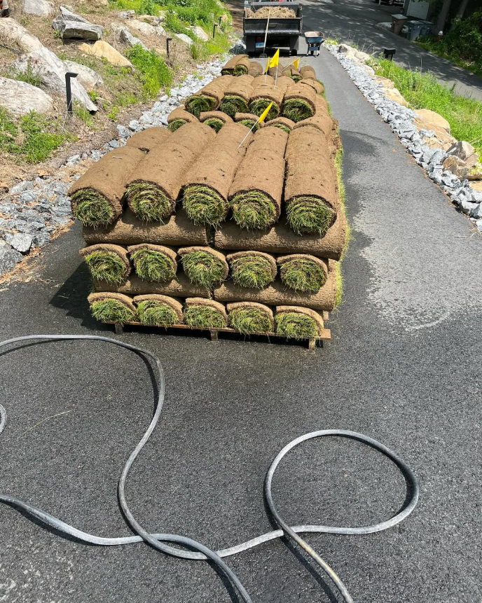 Pallets of rolled sod on a paved path. A truck is in the background, and a garden hose is in the foreground.