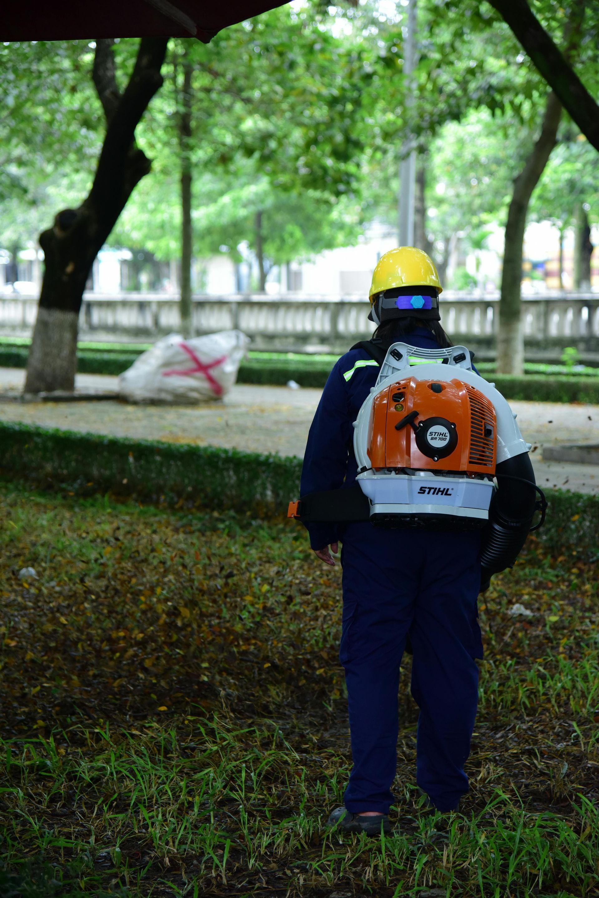 Person wearing safety gear, using a leaf blower outdoors, clearing debris from grass.