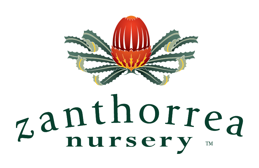 Logo for Zanthorea Nursery featuring a Banksia flower and the company name in green.
