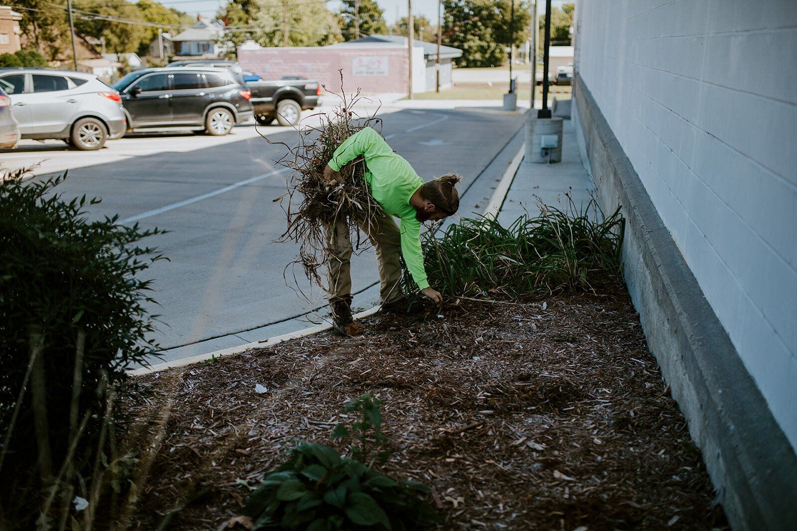 Pulling weeds