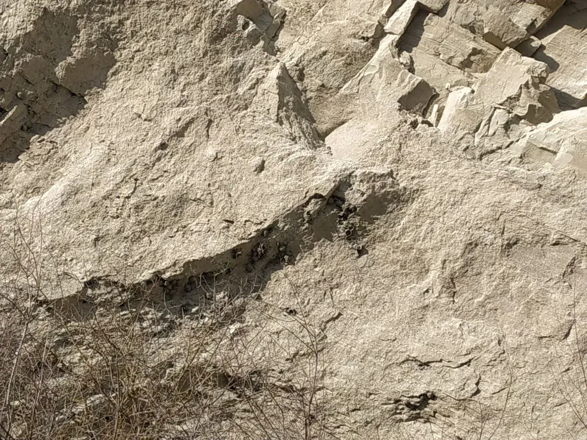 City of Swallows at Vashlovani-National Park