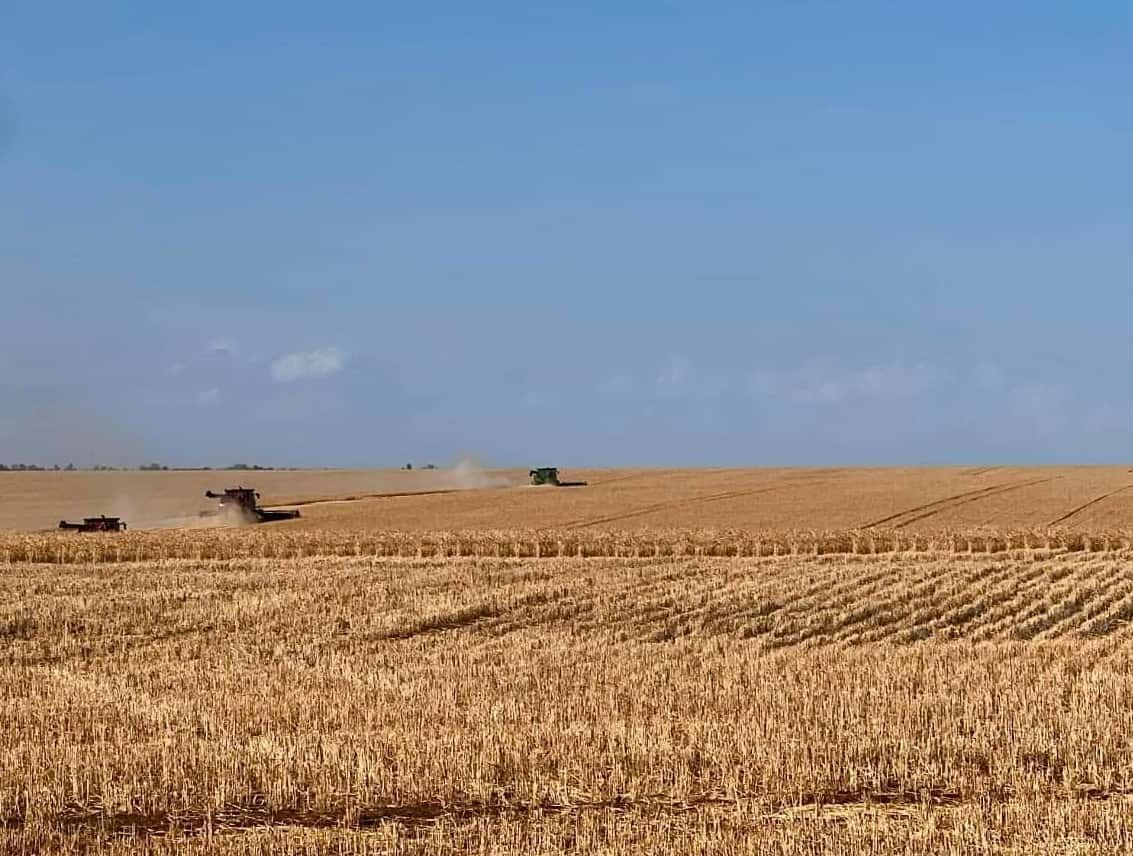 A Tractor Is Plowing A Field Of Wheat On A Sunny Day — BJC Transport In Wondai, QLD