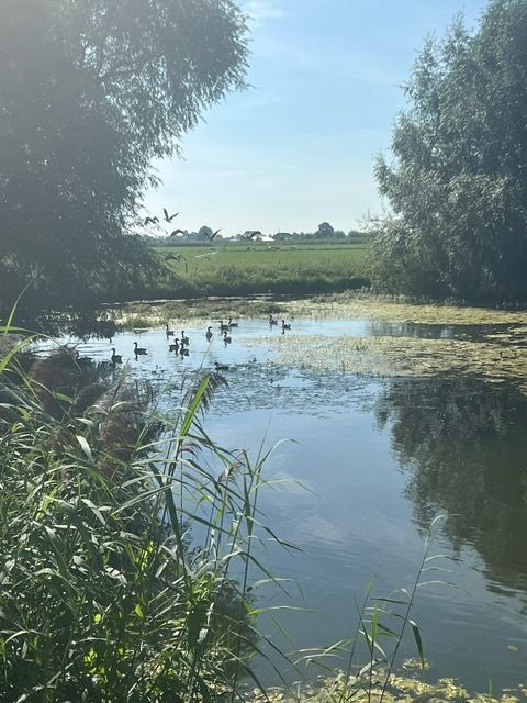 Natuur rondom B&B Studio de Limes