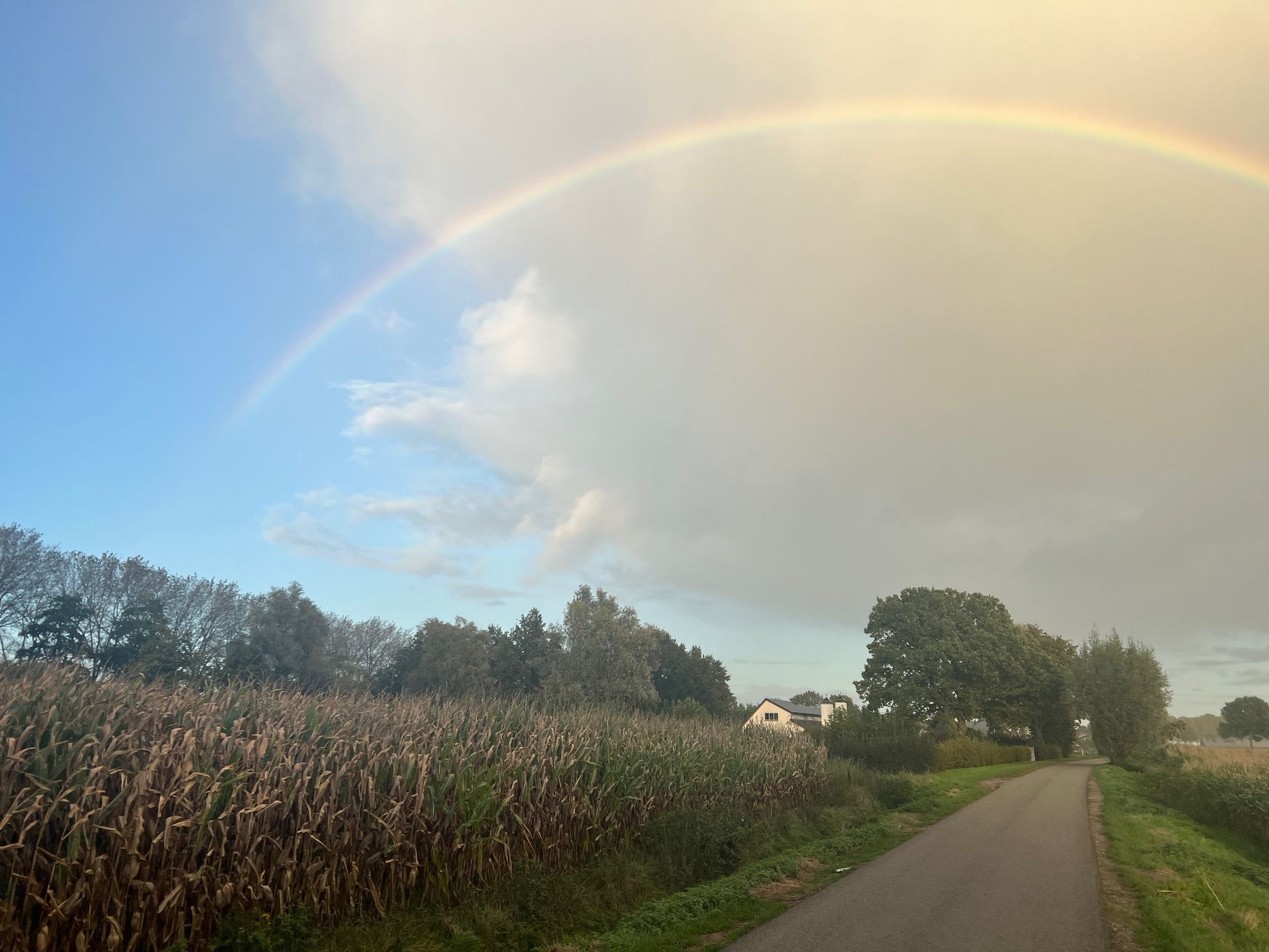 Landelijke sfeer rondom de B&B