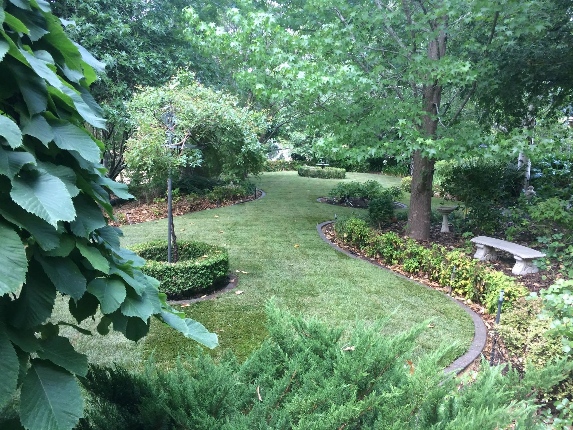 Lush garden path with green shrubs, trees, and a stone bench beside a curved flower bed.