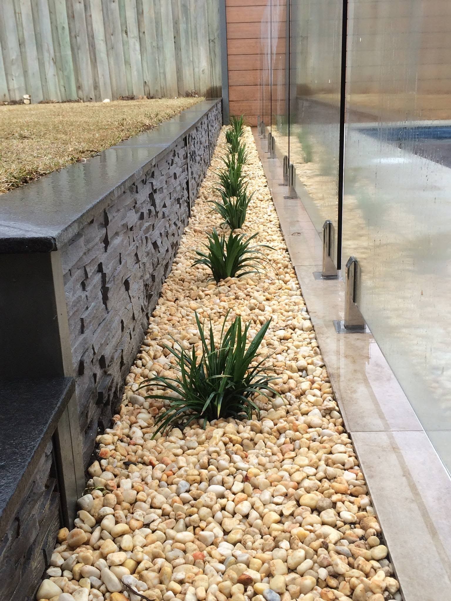 Narrow gravel planter with small green plants between a raised wall and a glass building facade Narrow gravel planter with small green plants between a raised wall and a glass building facade
