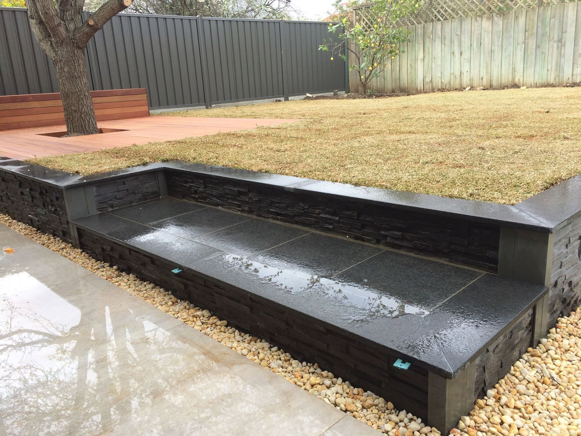 Modern black concrete bench beside a tree in a dry backyard courtyard