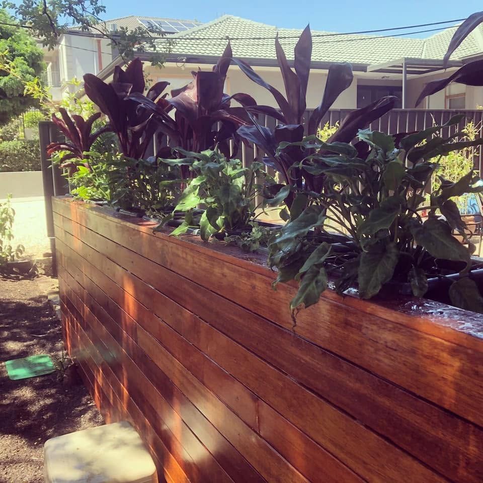 Raised wooden planter with lush dark tropical plants in a sunny garden patio Raised wooden planter with lush dark tropical plants in a sunny garden patio