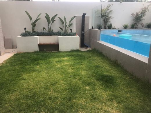 Modern backyard with green lawn, white planter wall, and a blue swimming pool on the right