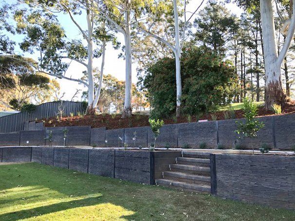 Terraced stone retaining wall with steps and tall trees above a grassy lawn Terraced stone retaining wall with steps and tall trees above a grassy lawn