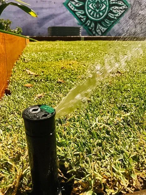 Sprinkler spraying water over a green lawn near a brick wall and decorative garden panel Sprinkler spraying water over a green lawn near a brick wall and decorative garden panel