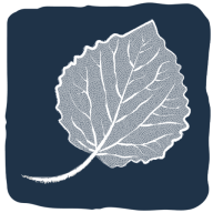 leaf logo for daniel sterling author in denver colorado