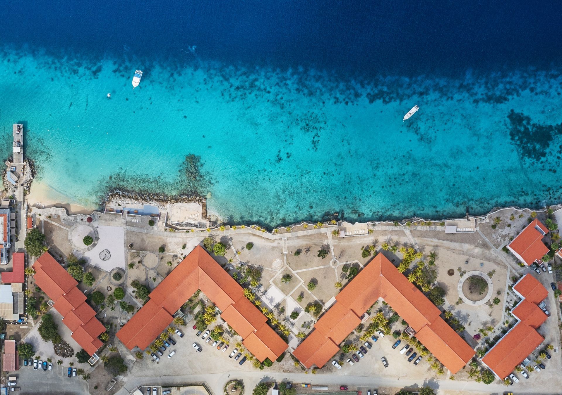 last-minute-special-apartment-sand-dollar-bonaire