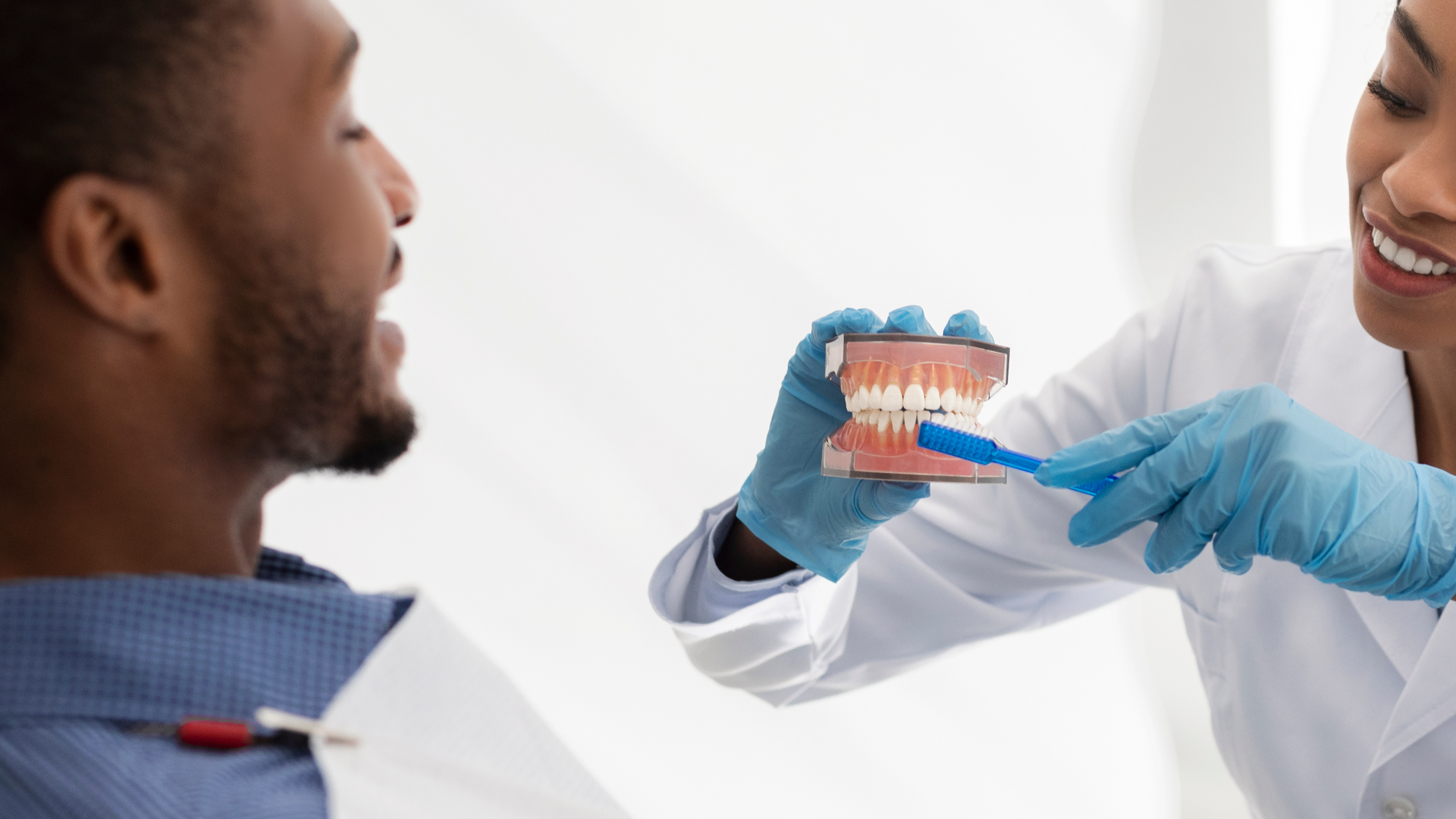 A dentist demonstrating how to brush along the gumline line to a patient using model teeth and a toothbrush. 