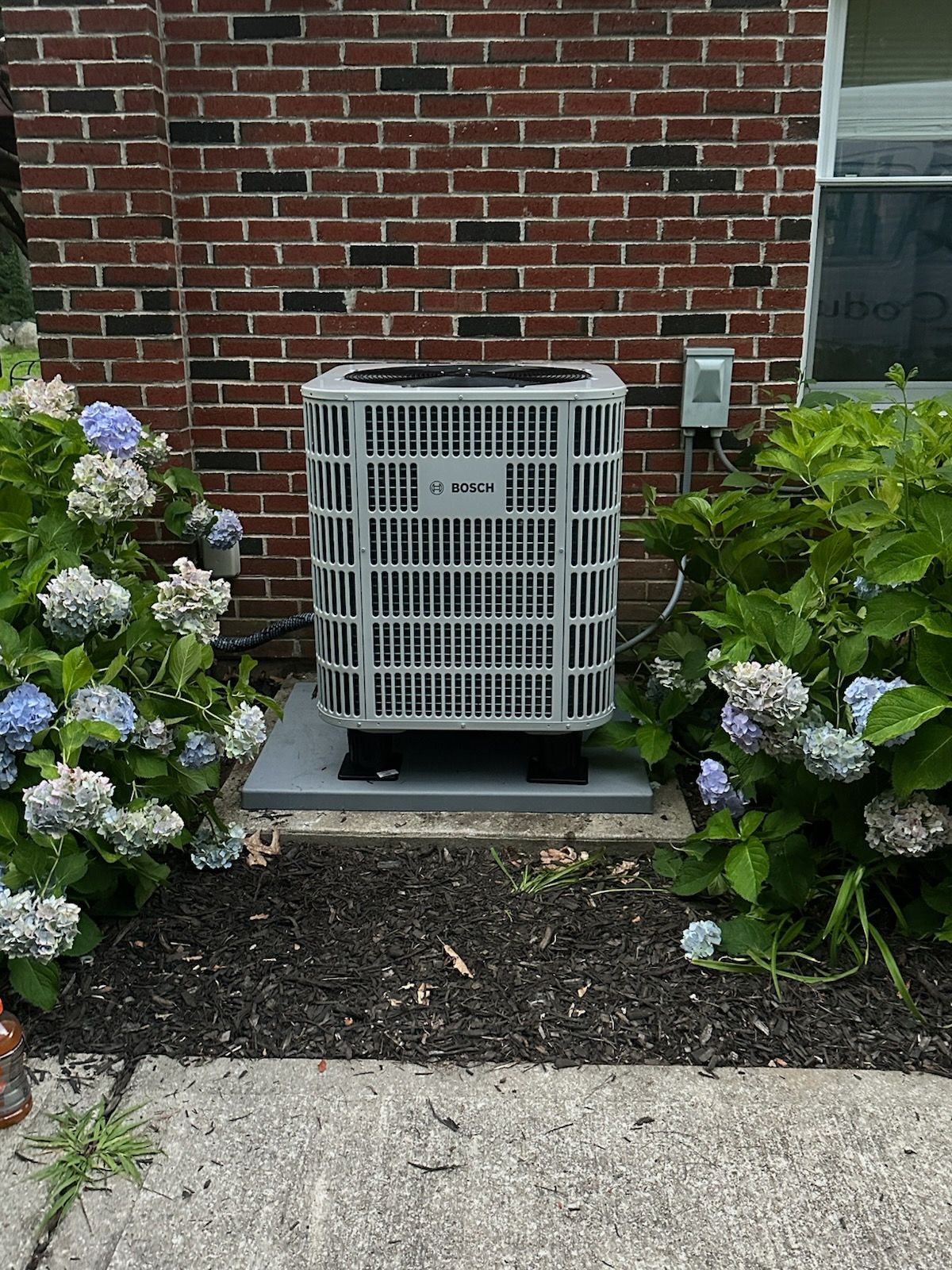 Outdoor air conditioner unit beside a brick house, framed by hydrangea bushes.
