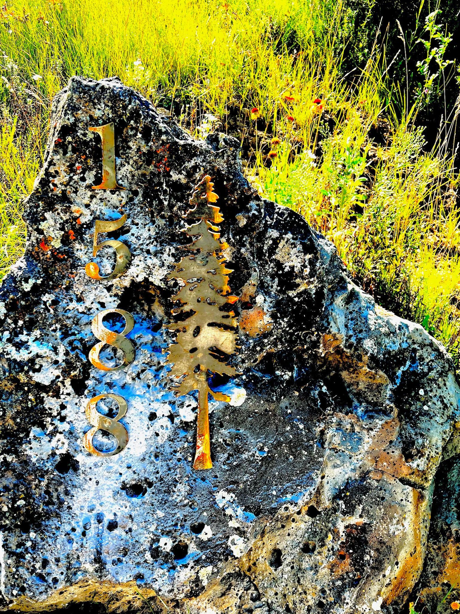 A large rock in the middle of a field with trees in the background.