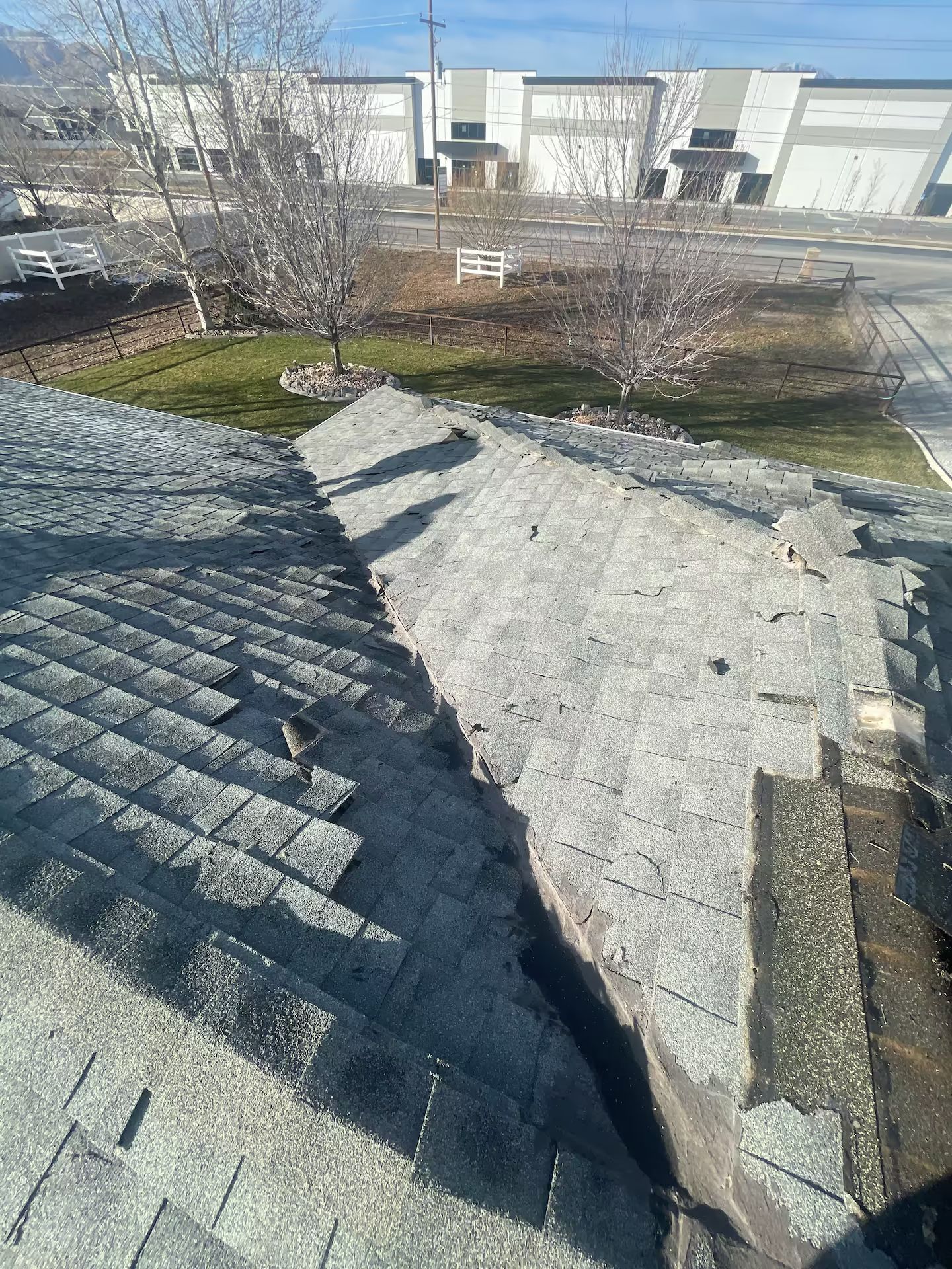 Damaged asphalt shingle roof with missing and lifted shingles. The setting appears to be a residential area.