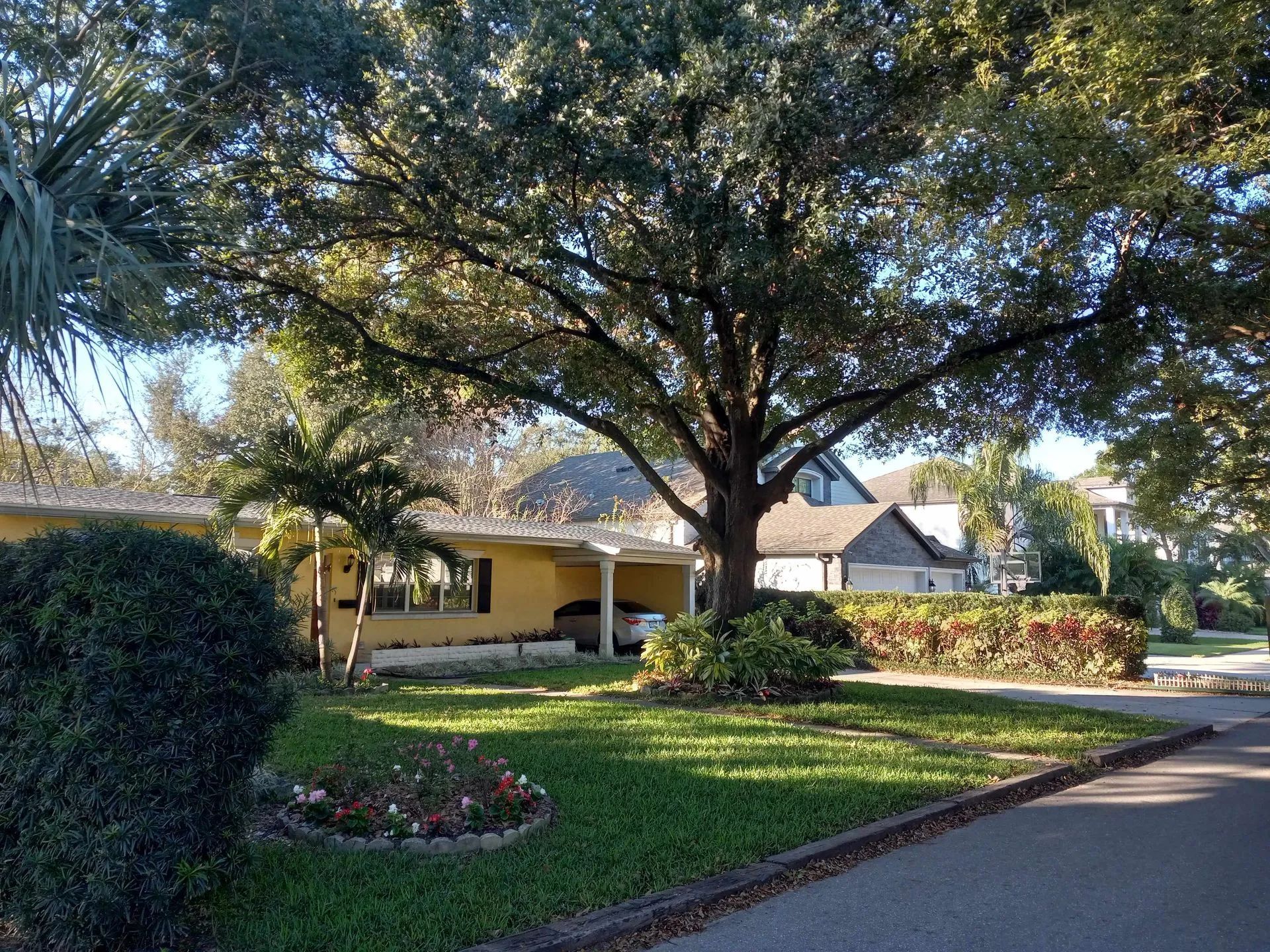 Single-story suburban house with a large oak tree and landscaped front yard along a quiet street