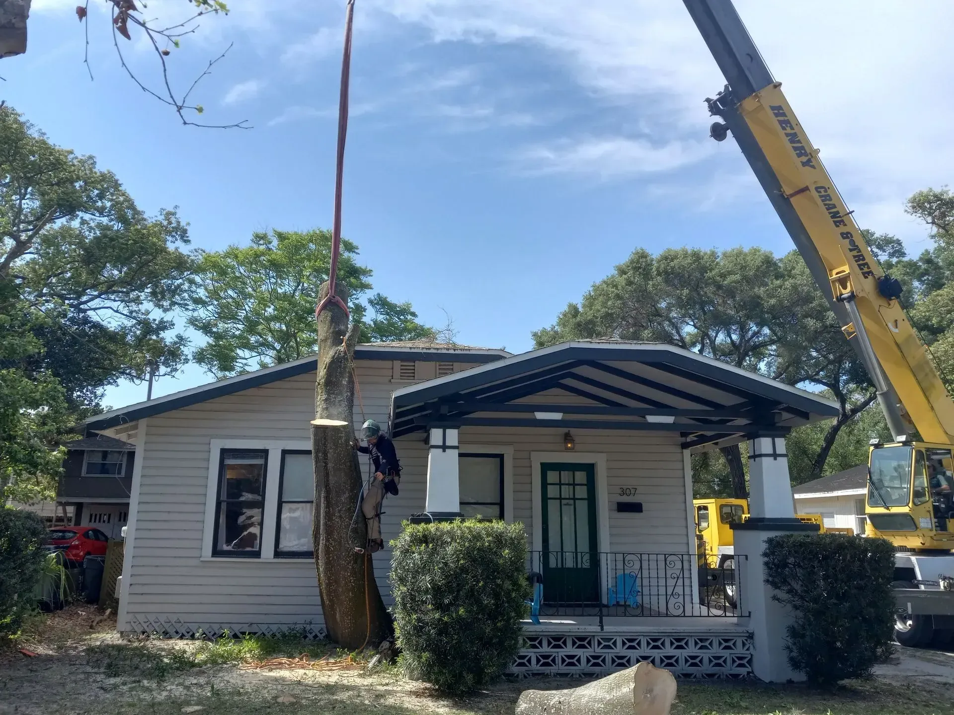 Small house with a front porch, two cranes lifting a tall tree in the yard, under a blue sky.