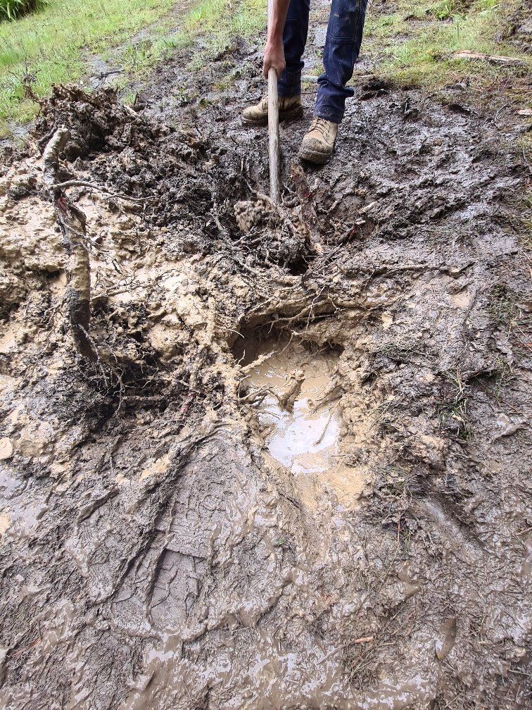 Leak Found Under Roots — Melbourne, VIC — The Leak Detector — Melbourne, VIC — The Leak Detector